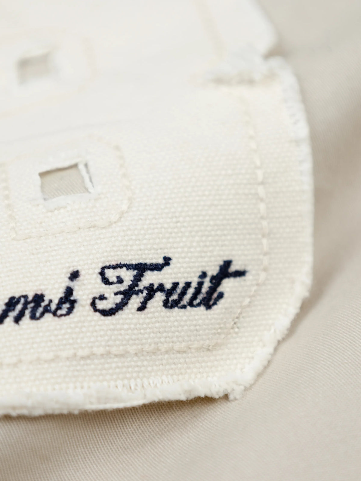 Bram's Fruit: Longsleeve Varsity Shirt - Desert
