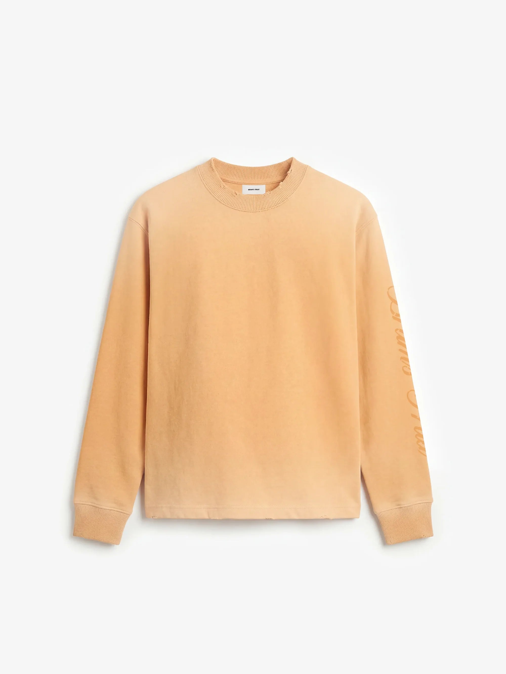 Bram's Fruit: Script Logo Longsleeve - Orange