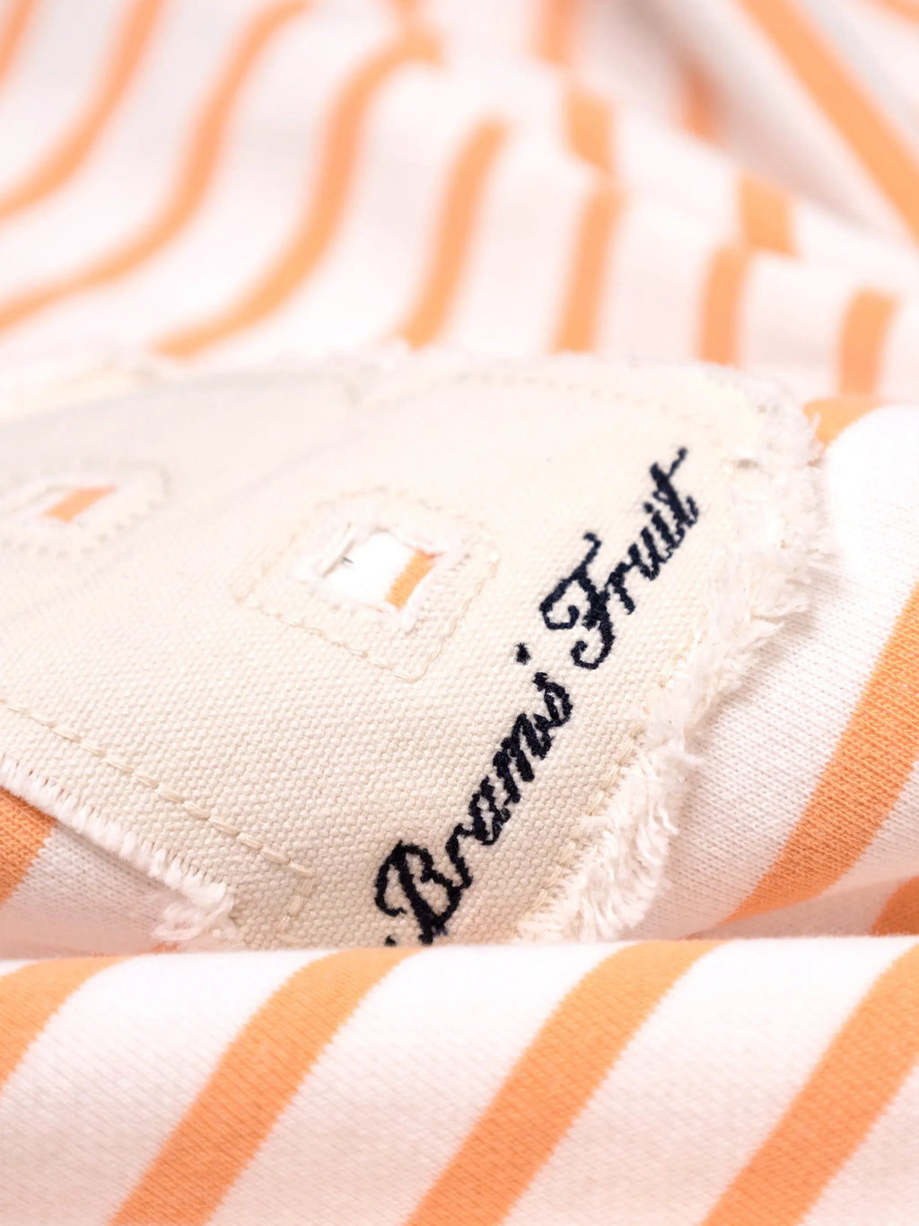 Bram's Fruit: Varsity Striped Longsleeve - Orange