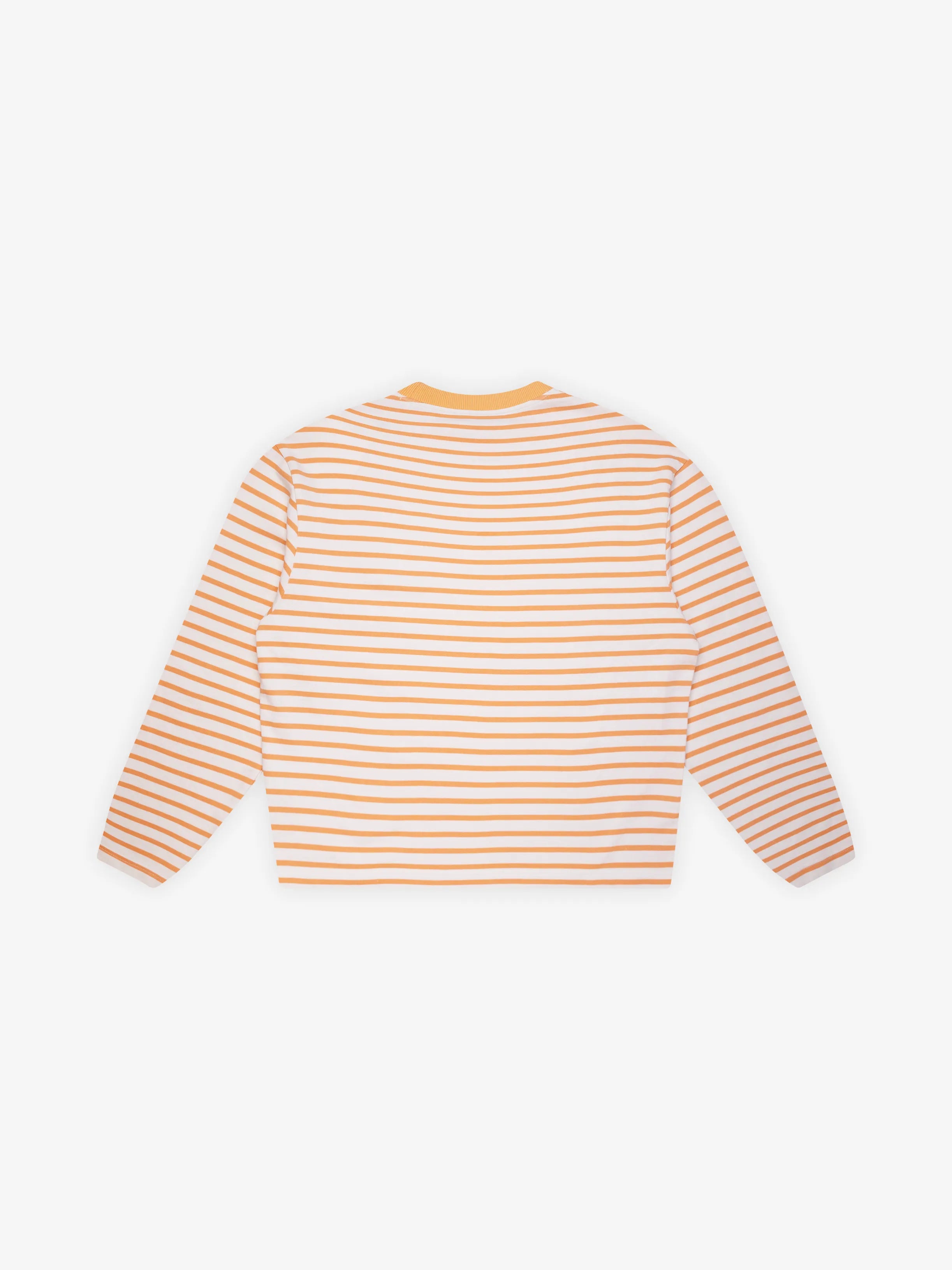 Bram's Fruit: Varsity Striped Longsleeve - Orange